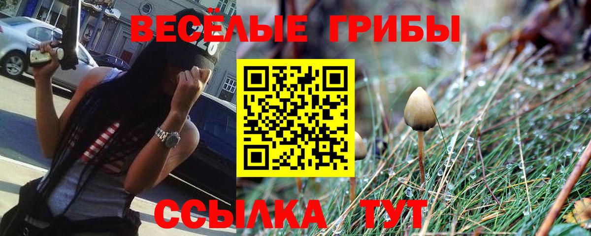 Гусиноозёрск  Галлюциногенные грибы MAGIC MUSHROOMS  Вход с VPN 