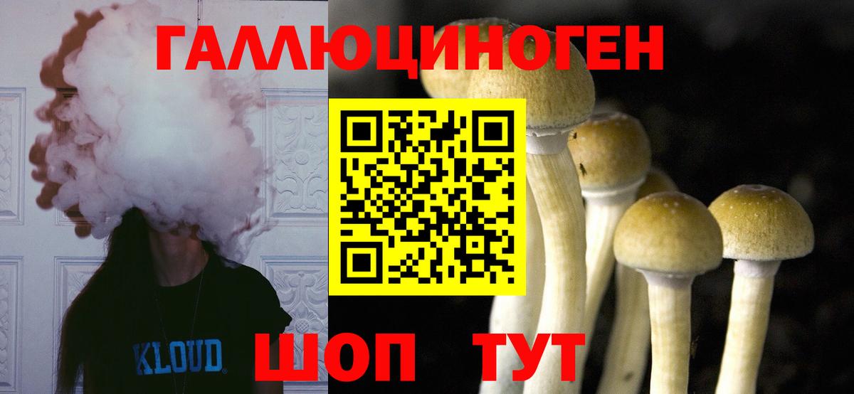 Псилоцибиновые грибы GOLDEN TEACHER Гусиноозёрск
